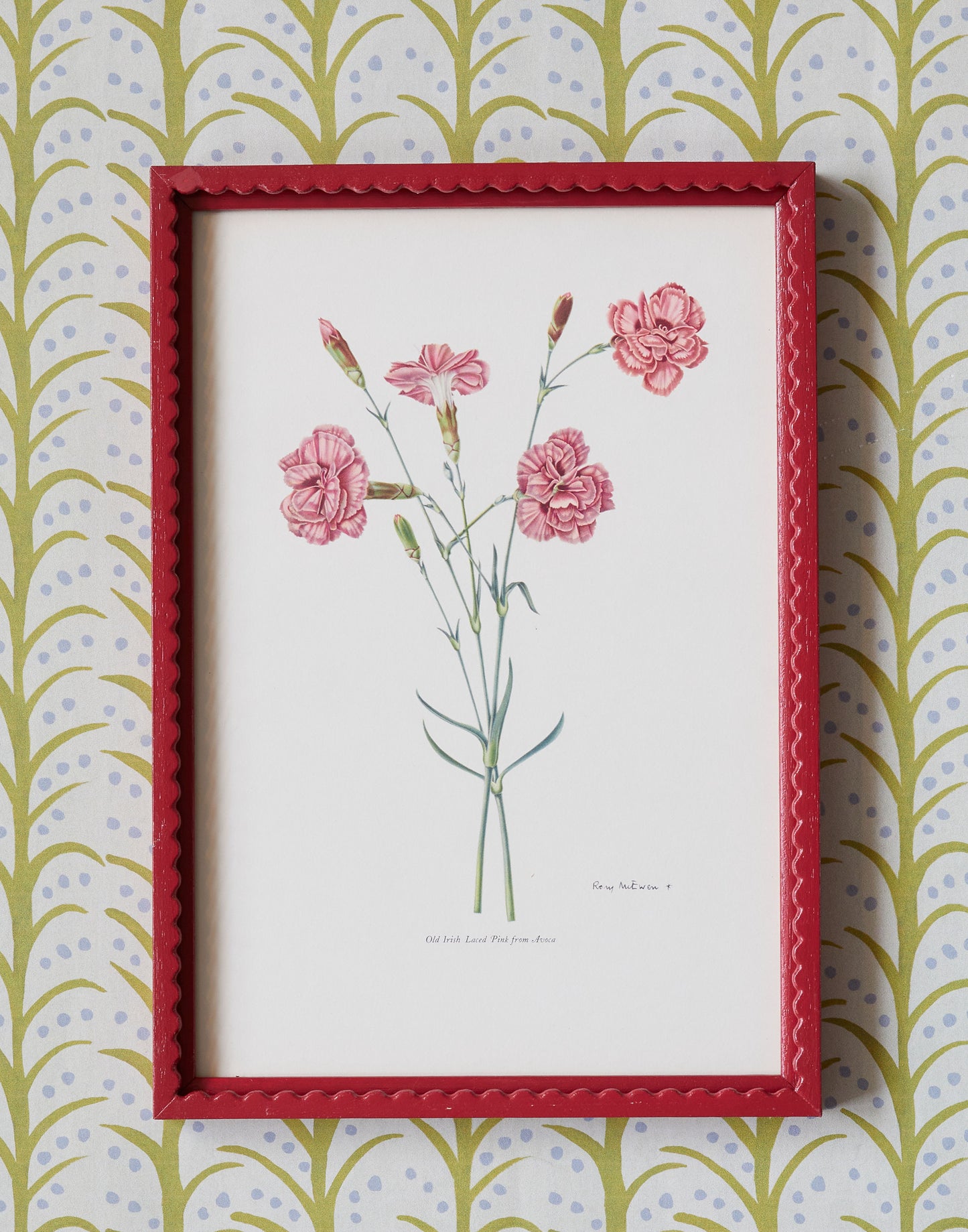 A Set of Eight 1950s Botanical Prints of Carnations and Pinks by Rory McEwen (1932-1982)