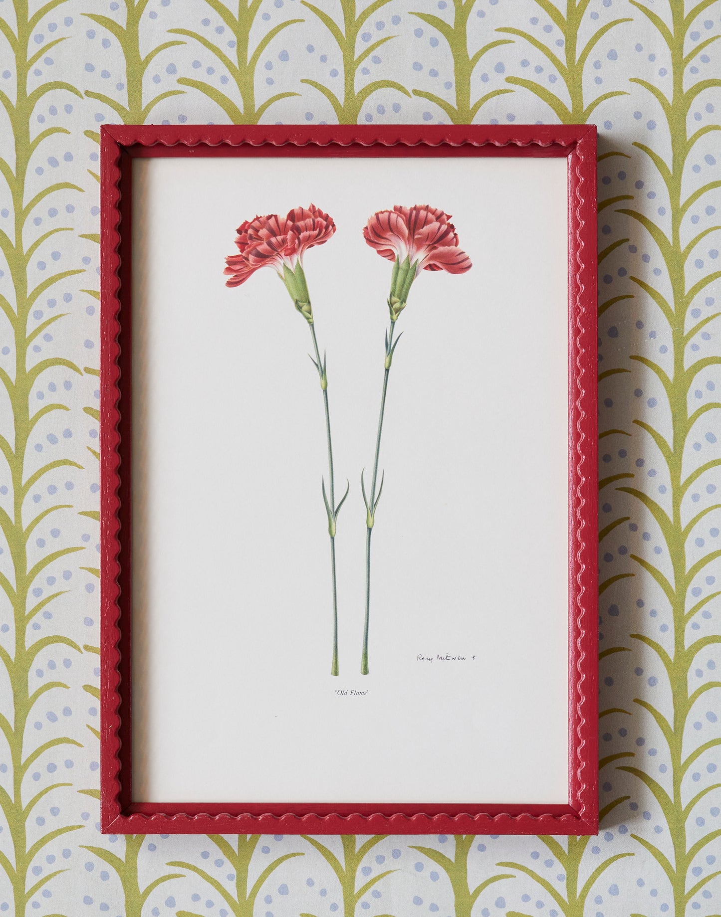 A Set of Eight 1950s Botanical Prints of Carnations and Pinks by Rory McEwen (1932-1982)