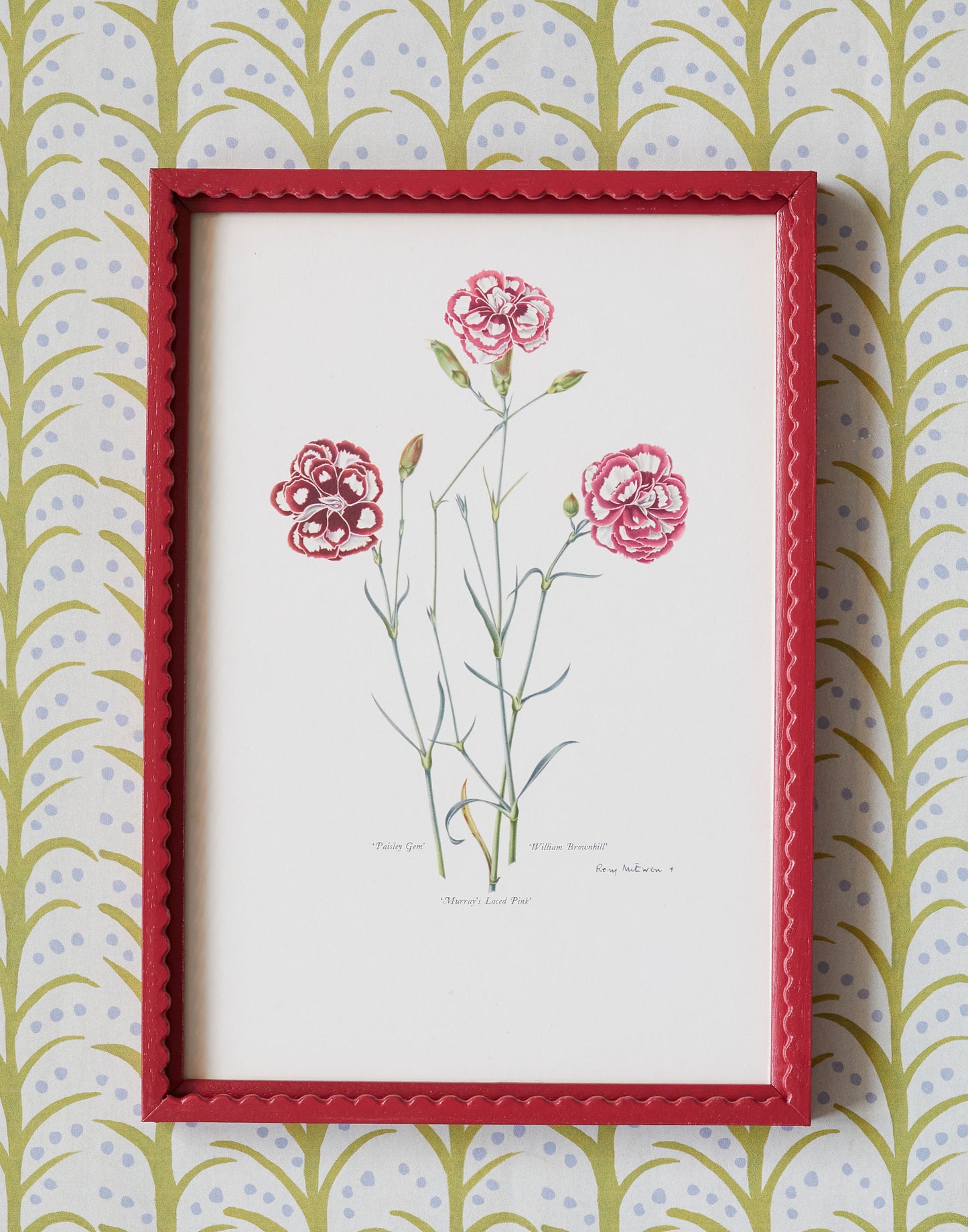 A Set of Eight 1950s Botanical Prints of Carnations and Pinks by Rory McEwen (1932-1982)