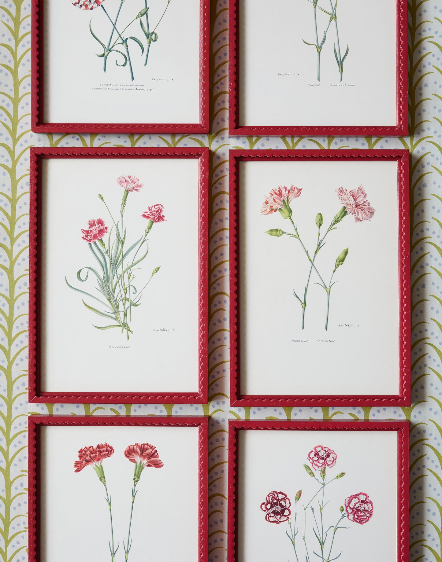 A Set of Eight 1950s Botanical Prints of Carnations and Pinks by Rory McEwen (1932-1982)