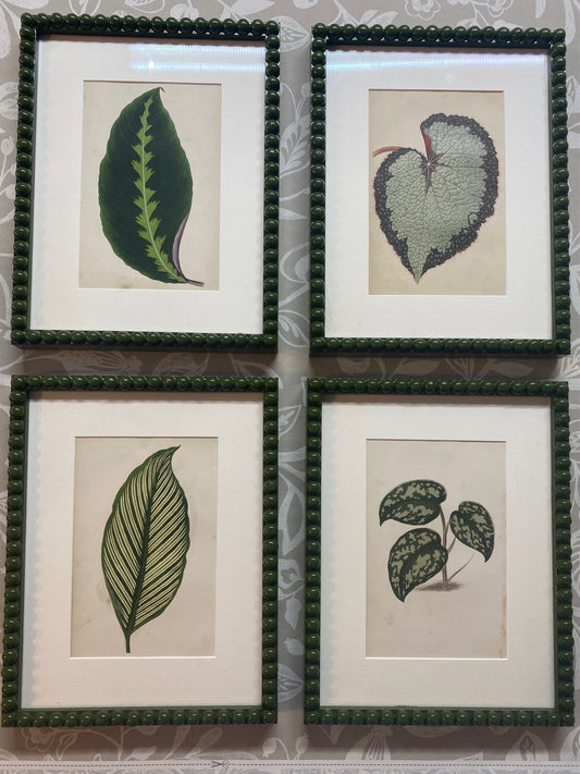 Set of Eight Botanical Leaf Prints Circa 1860