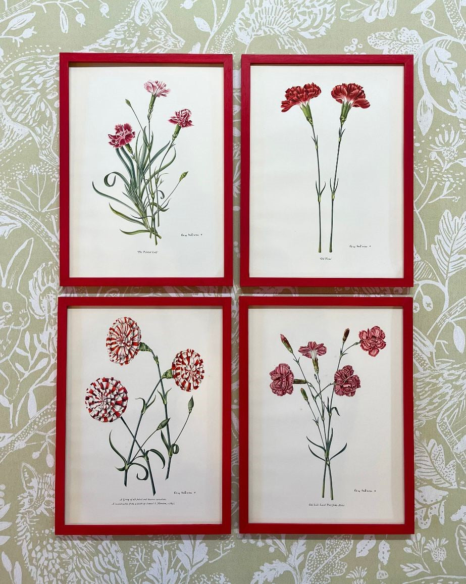A Set of Eight Prints of Carnations and Pinks by Rory McEwen (1932-1982)