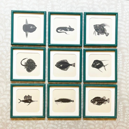 A Set of Nine Woodblock Prints of Fish by Eric Fitch Daglish (1894-1966)