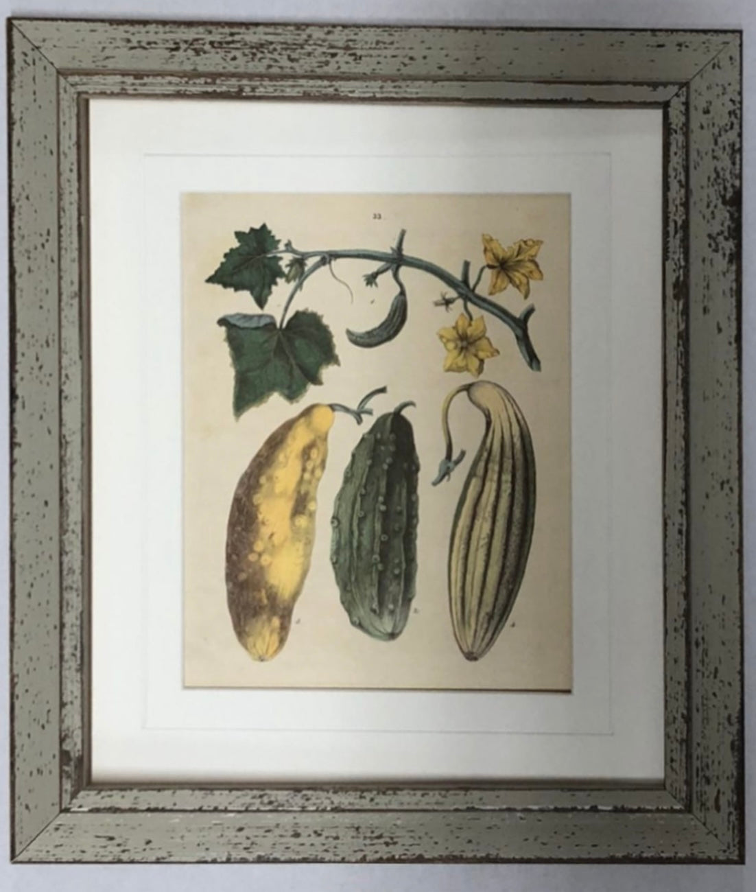 Set of Six Vegetable Giclee Prints